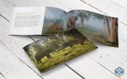 Brochures Folders Catalogs Marketing Materials Anantara Elephant Camp Resort A4 16pp 01 DigitalAds Design Marketing Agency Australia | Design, Advertising & Marketing Agency | DigitalAds [Australia]