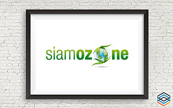 Logo Design Brand Identity Marketing Materials SiamOzone 029 DigitalAds Design Marketing Agency Australia | Design, Advertising & Marketing Agency | DigitalAds [Australia]